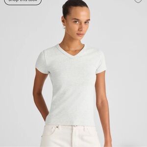 Madewell v-neck Baby Tee